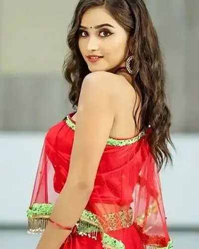 Escort In Modasa